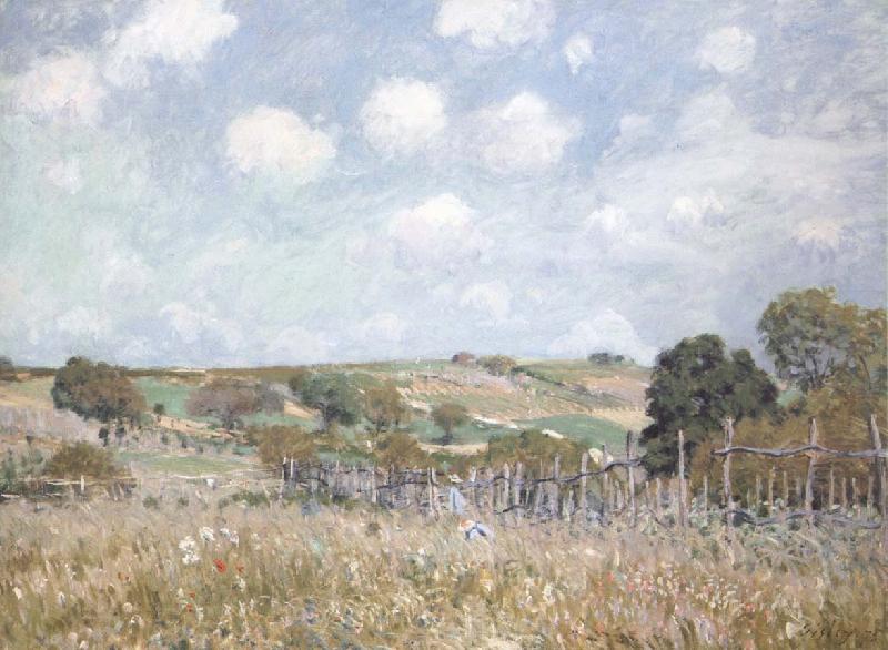 Alfred Sisley Ang oil painting picture